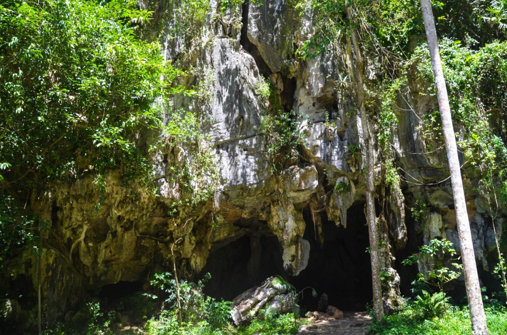 Cueva de San Miguel